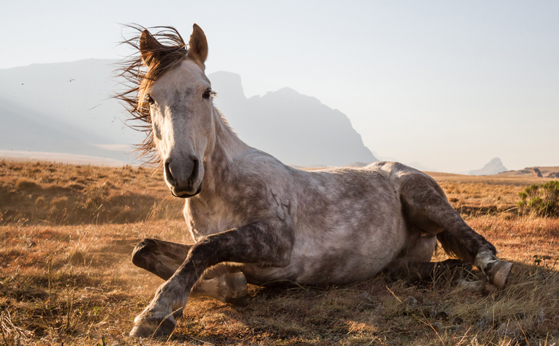 Byron Inggs (National Geographic Traveler Photo Contest)