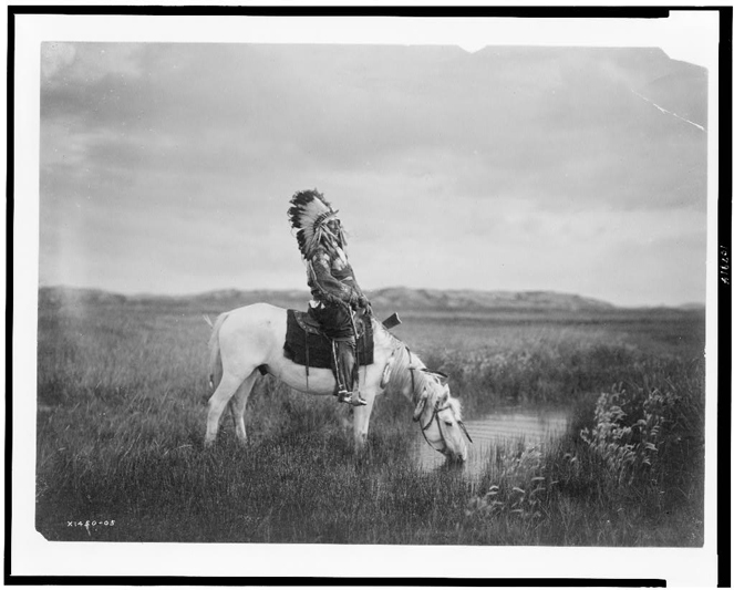 L'amore per i cavalli dei nativi americani è una vecchia storia L'amore per i cavalli dei nativi americani è una vecchia storia