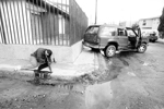 Reportero